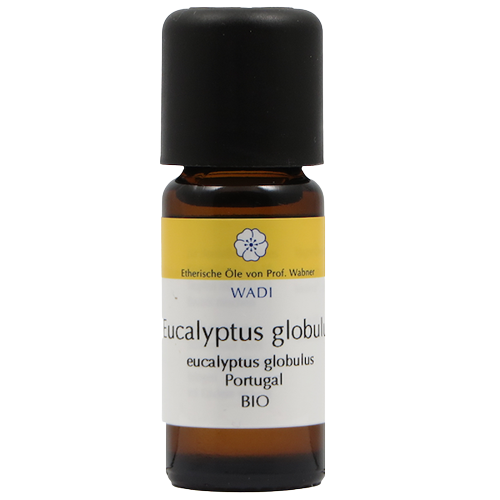 Ätherisches Eukalyptusöl Bio – 10 ml