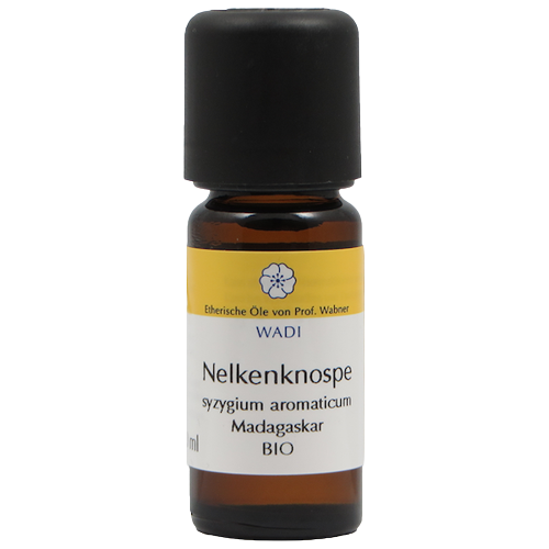 Ätherisches Nelkenknospenöl Bio – 10 ml