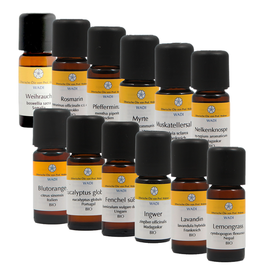 Alle zwölf ätherischen Öle als Set – hochwertige naturreine Öle  Ideal zur Anwendung mit kolloidalem Silber sowie für Aromatherapie, Inhalation und Raumduft.
