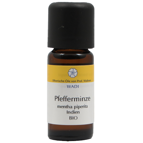 Ätherisches Pfefferminzöl in dunkler Glasflasche